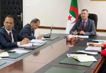الجزائر وروسيا تبحثان آفاق توسيع الشراكة الاقتصادية والاستثمارية