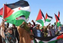 دعوات أممية لتعزيز حماية حقوق الإنسان في الصحراء الغربية وإنهاء التمييز